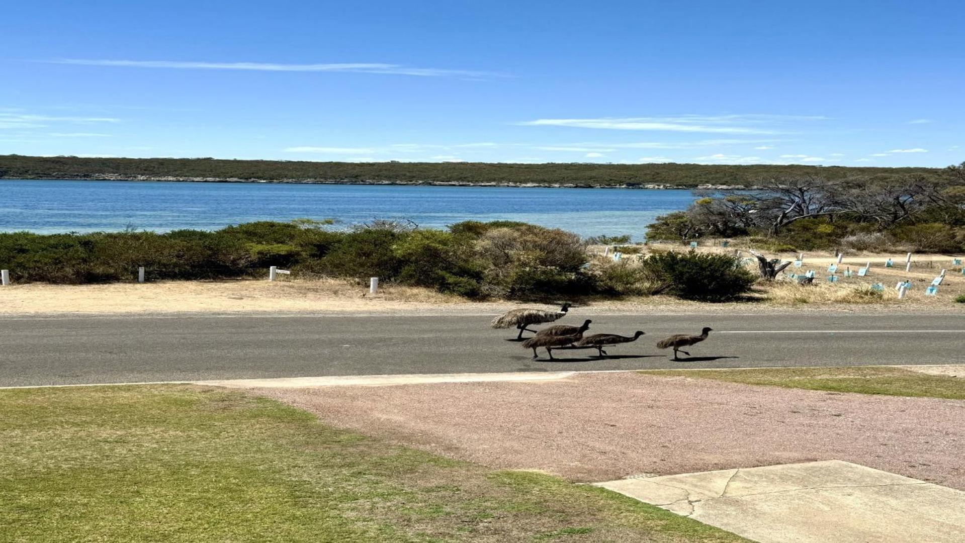 White Springs, Our Peaceful Holiday House In Coffin Bay Zewnętrze zdjęcie